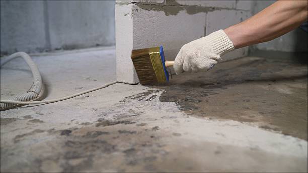 SJ Waterproofing Pros Crawl Space Encapsulation coverage map for Sycamore, GA and surrounding area